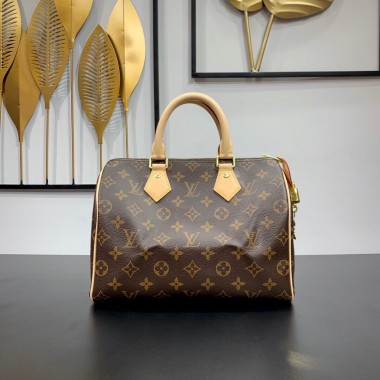 Louis Vuitton Speedy 25