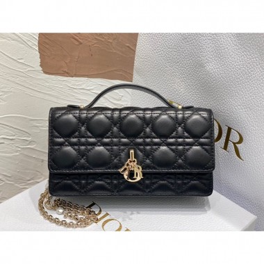 Lady Dior Top Handle Clutch 