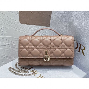 Lady Dior Top Handle Clutch 