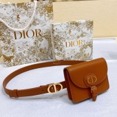 Dior Bobby Pouch Belt 