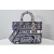 Christian Dior Large Lady D-Lite Bag 