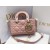 Christian Dior Lady D-Joy Micro Bag 