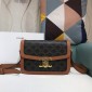 Celine Classique Triomphe Bag in Canvas and Calfskin 