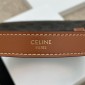 Celine Ava Bag in Triomphe Canvas and Calfskin 