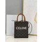 Celine Triomphe Cabas Mini Bag