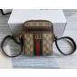 Gucci Borsa a spalla Ophidia GG 