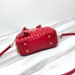 Miu Miu Arcadie  leather bag