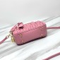 Miu Miu Arcadie  leather bag