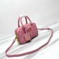 Miu Miu Arcadie  leather bag