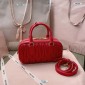 Miu Miu Arcadie leather bag