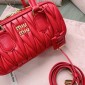 Miu Miu Arcadie leather bag