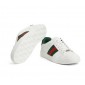 Gucci Gucci Ace Sneaker,  Size 35-45