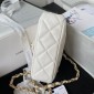 Chanel Small Flap Bag 