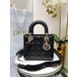 Small Lady Dior My ABCDIOR Bag 