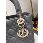 Small Lady Dior My ABCDIOR Bag 