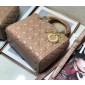 Medium Lady Dior Bag