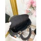 Christian Dior Medium Lady D-Lite Bag 