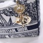 Christian Dior Medium Lady D-Lite Bag 