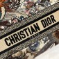 Christian Dior Medium Lady D-Lite Bag 