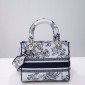 Christian Dior Medium Lady D-Lite Bag 