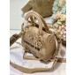 Christian Dior Medium Lady D-Lite Bag 