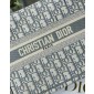 Christian Dior Small Book Tote 