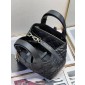 Small Dior Toujours Bag  
