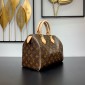 Louis Vuitton Speedy 25