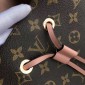 Monogram Canvas Neonoe  