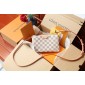 N60460 Double Zip Pochette