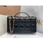 Lady Dior Top Handle Clutch 