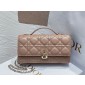 Lady Dior Top Handle Clutch 