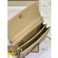 Lady Dior Top Handle Clutch 