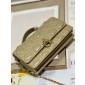 Lady Dior Top Handle Clutch 