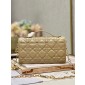 Lady Dior Top Handle Clutch 