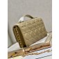 Lady Dior Top Handle Clutch 