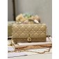 Lady Dior Top Handle Clutch 