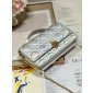 Lady Dior Top Handle Clutch 