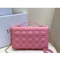 Lady Dior Top Handle Clutch 