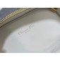 Christian Dior CD signture Oval Camera Bag 