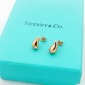 Tiffany & Co earrings