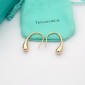 Tiffany & Co earrings