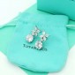 Tiffany & Co earrings