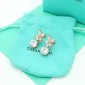 Tiffany & Co earrings